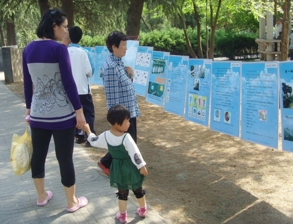 电子竞技