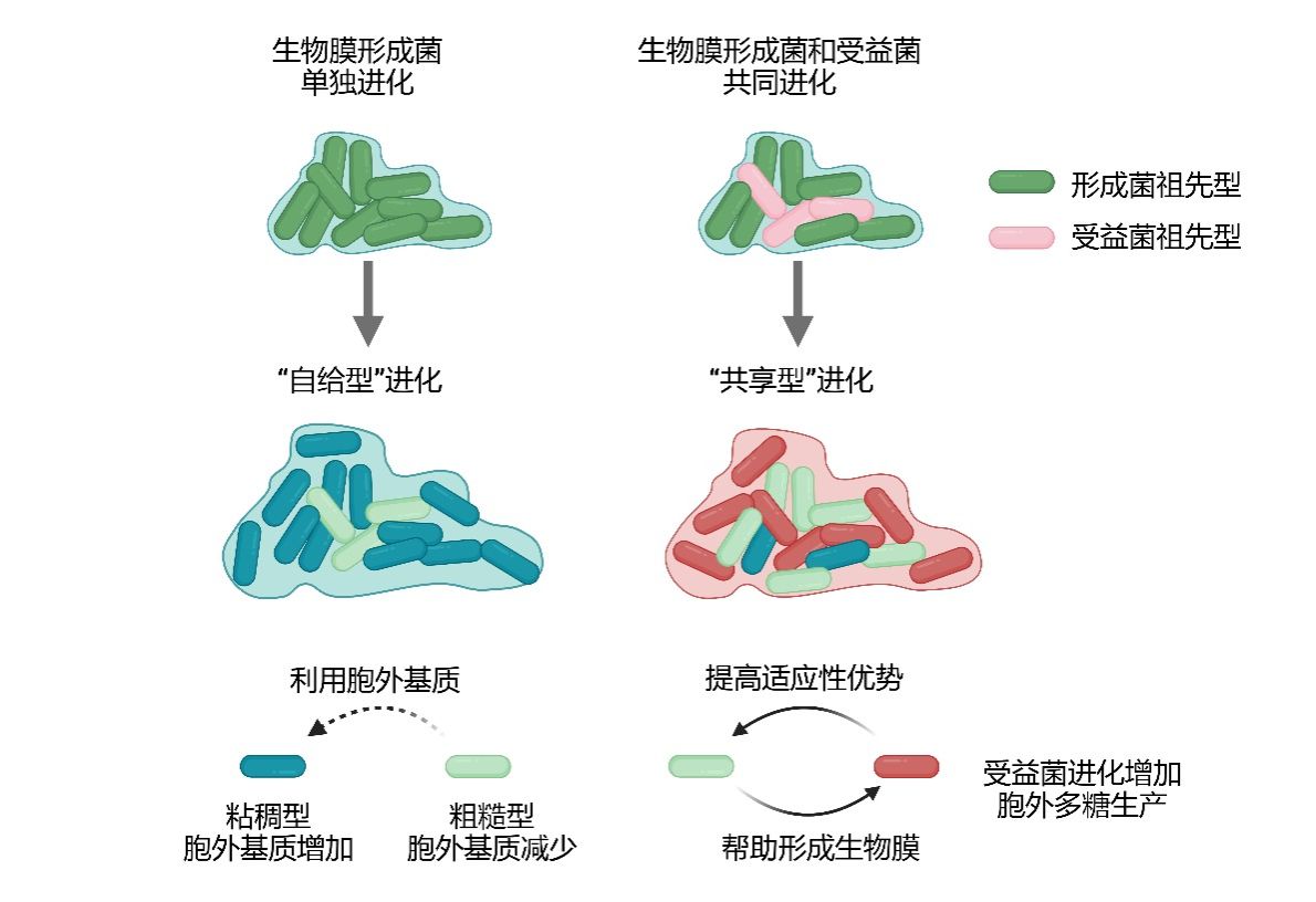 电子竞技