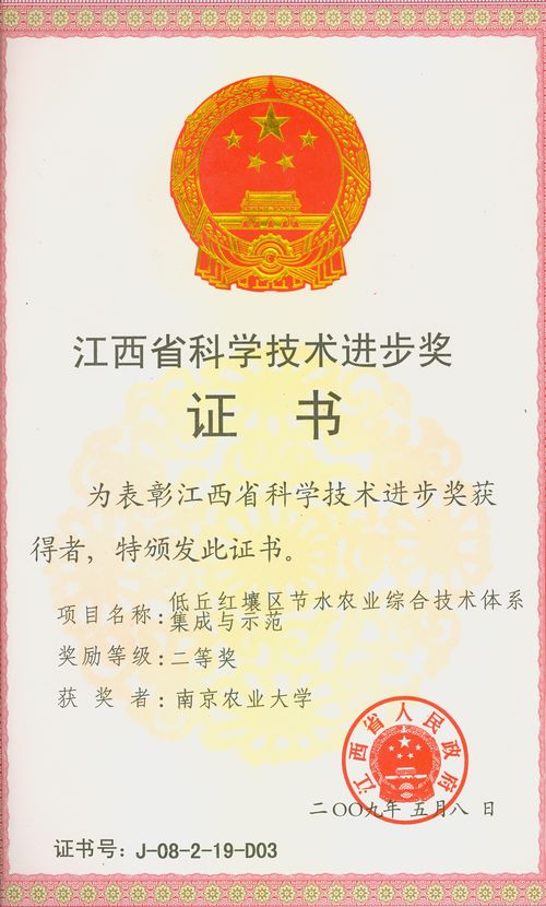 电子竞技
