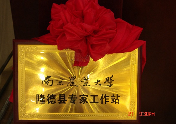 电子竞技