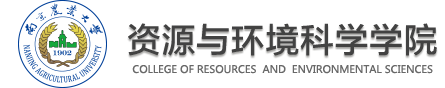 电子竞技
